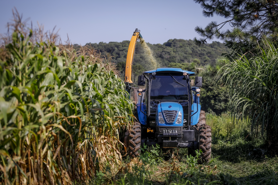 Prefeitura abre inscrições para o Programa de Silagem de Milho em dezembro