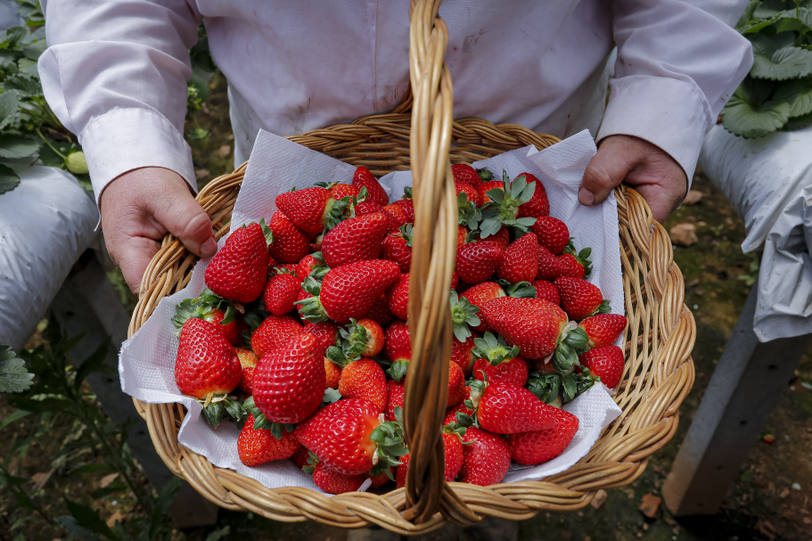 Parque Cachoeira recebe a 4.ª Feira de Sabores das Colônias
